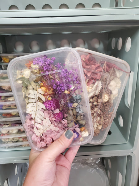 Dried Flowers / Every Containers Vary in Color