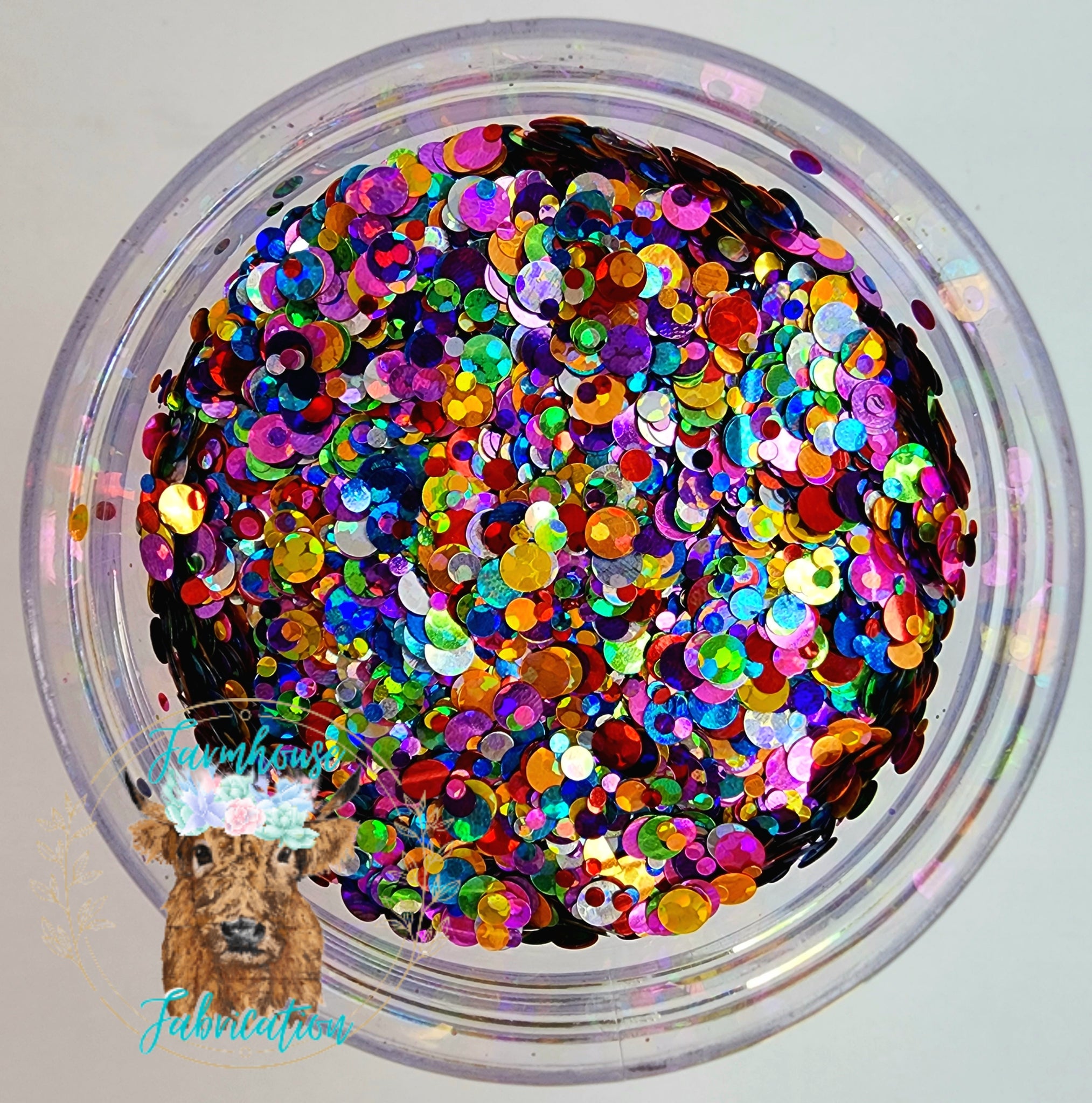 "Teachers Pet" / Colorful Holographic Dot Mix Polyester Glitter